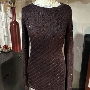 Plum Sparkling Knit Sweater